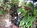 28 - Jardin des eaux 034